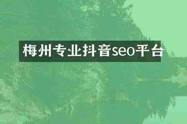 梅州专业抖音seo平台