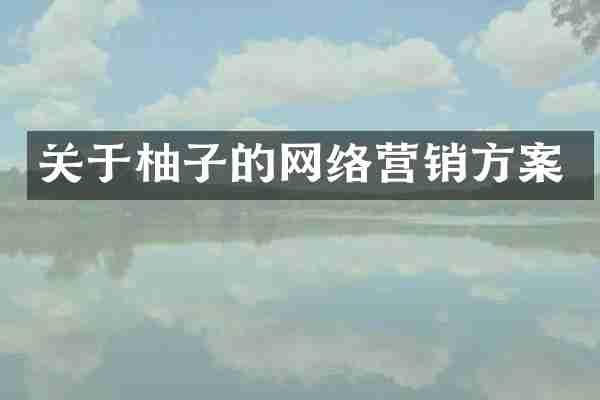 关于柚子的网络营销方案