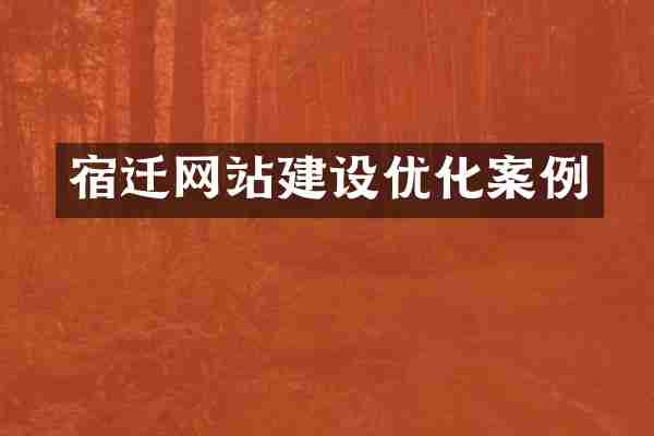 宿迁网站建设优化案例