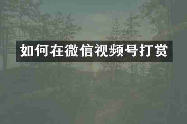 如何在微信视频号打赏