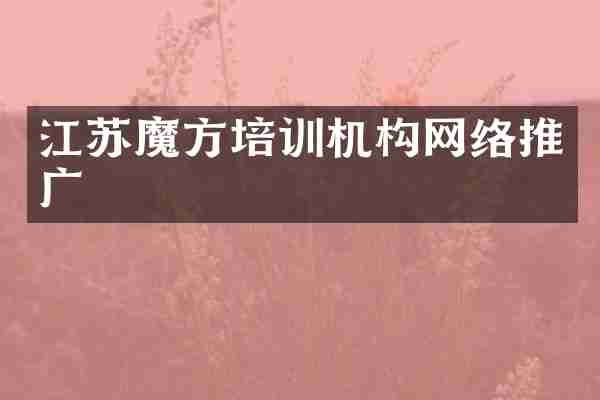 江苏魔方培训机构网络推广