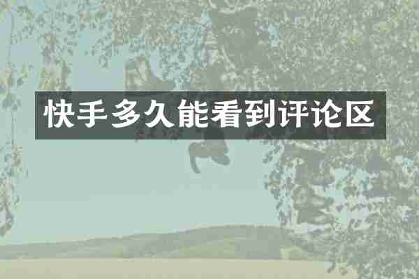快手多久能看到评论区