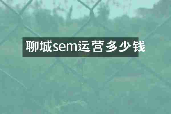 聊城sem运营多少钱