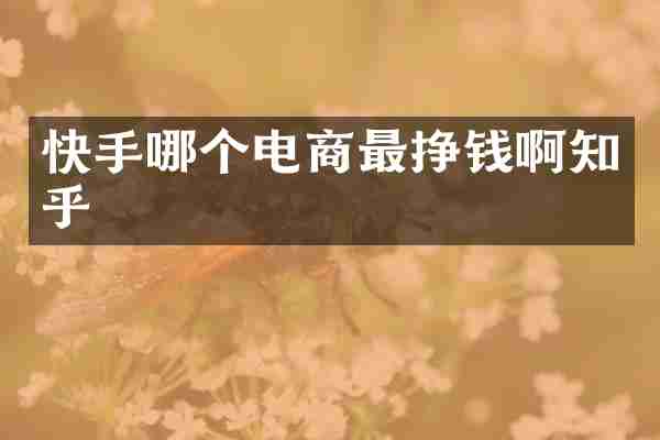 快手哪个电商最挣钱啊知乎