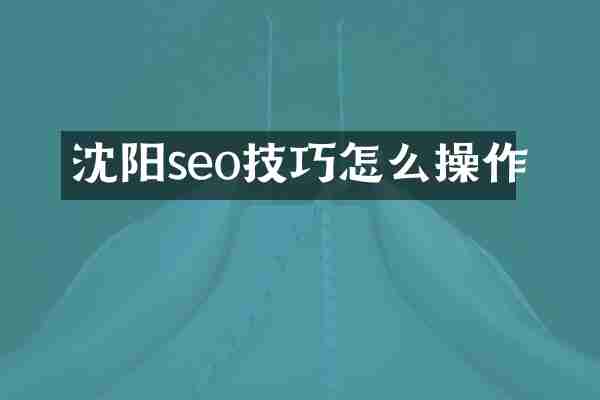 沈阳seo技巧怎么操作