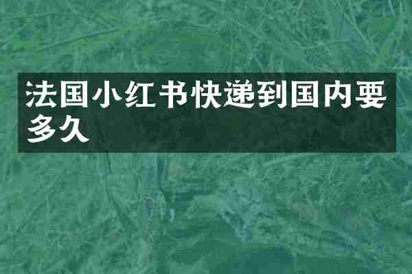 法国小红书快递到国内要多久