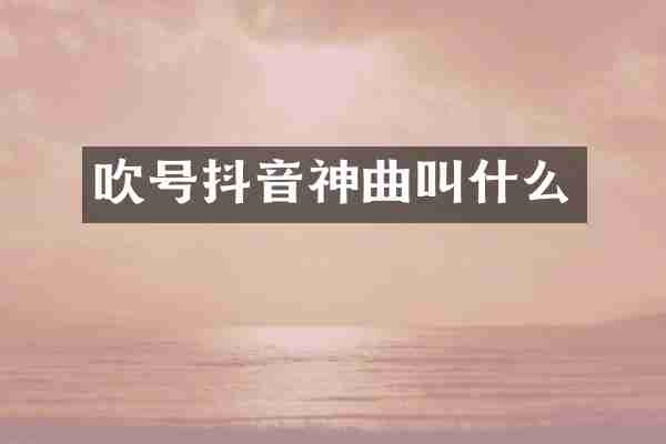 吹号抖音神曲叫什么