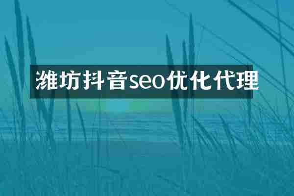 潍坊抖音seo优化代理