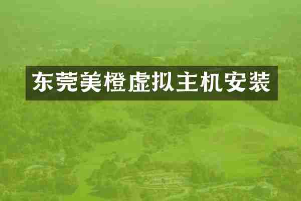 东莞美橙虚拟主机安装