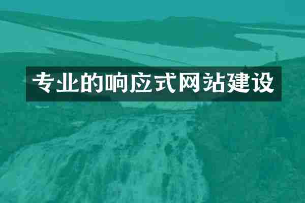 专业的响应式网站建设