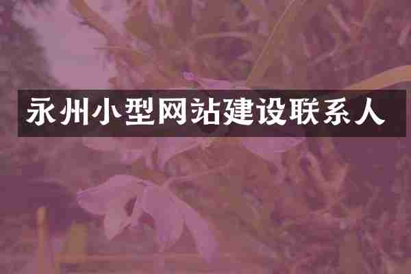 永州小型网站建设联系人