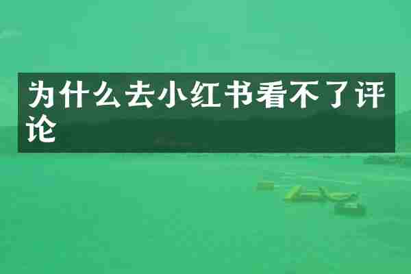 为什么去小红书看不了评论
