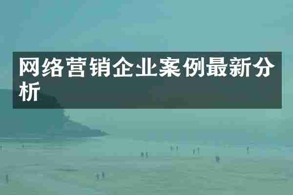 网络营销企业案例最新分析