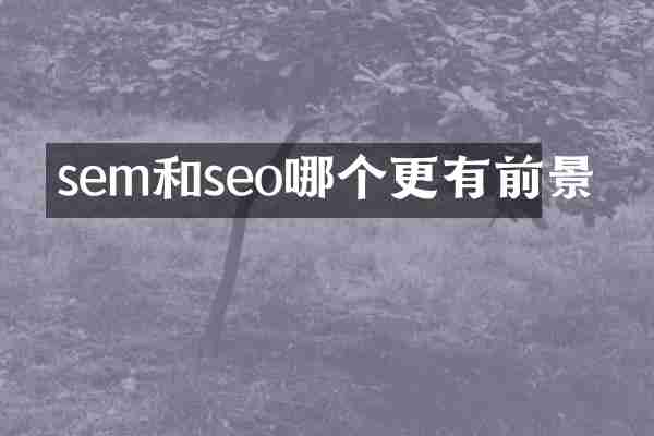 sem和seo哪个更有前景