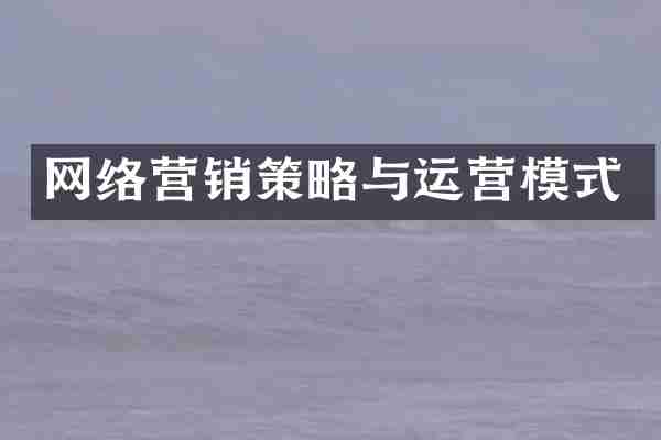 网络营销策略与运营模式