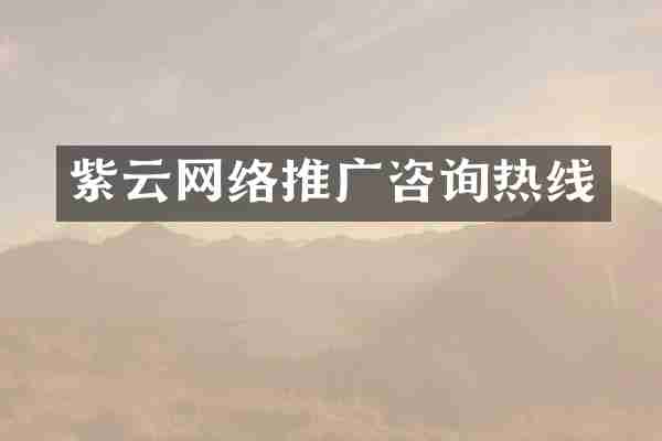 紫云网络推广咨询热线