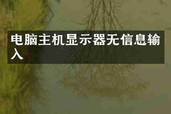 电脑主机显示器无信息输入