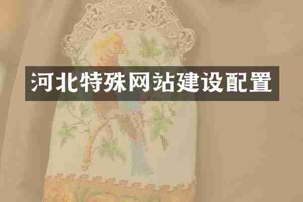 河北特殊网站建设配置