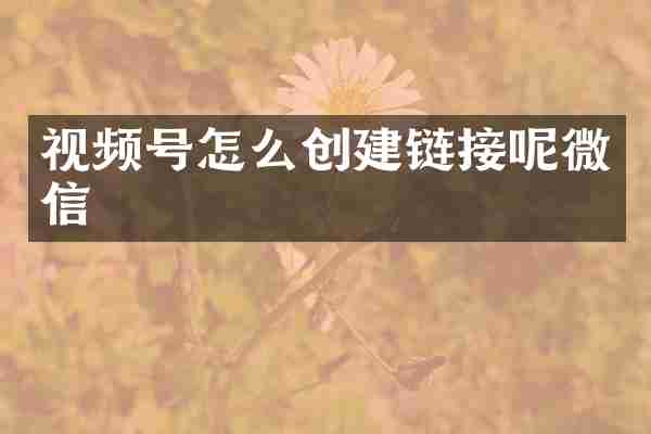 视频号怎么创建链接呢微信
