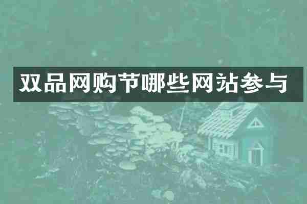 双品网购节哪些网站参与