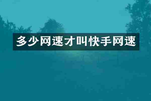 多少网速才叫快手网速