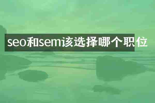 seo和sem该选择哪个职位