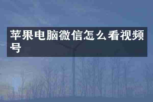 苹果电脑微信怎么看视频号
