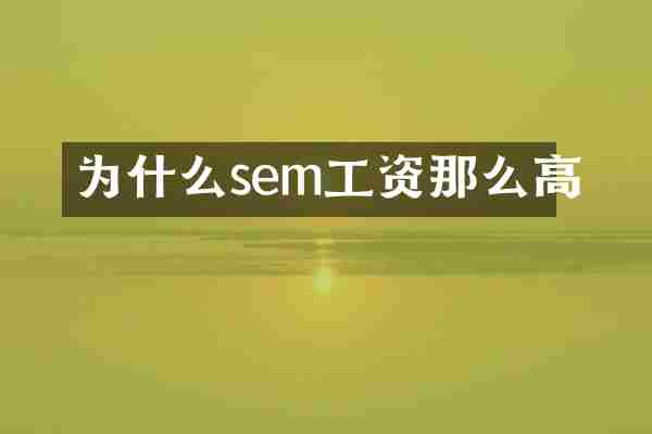为什么sem工资那么高
