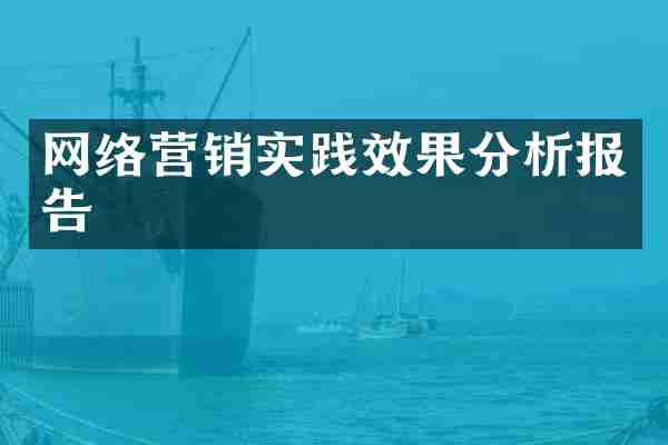 网络营销实践效果分析报告
