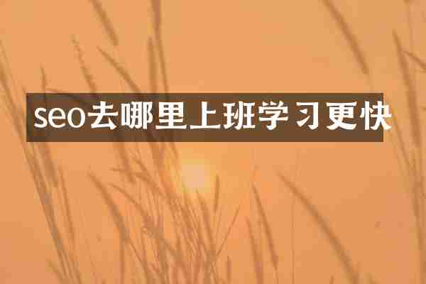 seo去哪里上班学习更快