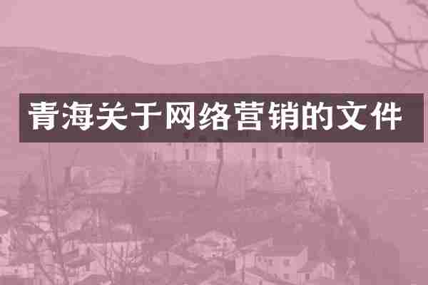 青海关于网络营销的文件