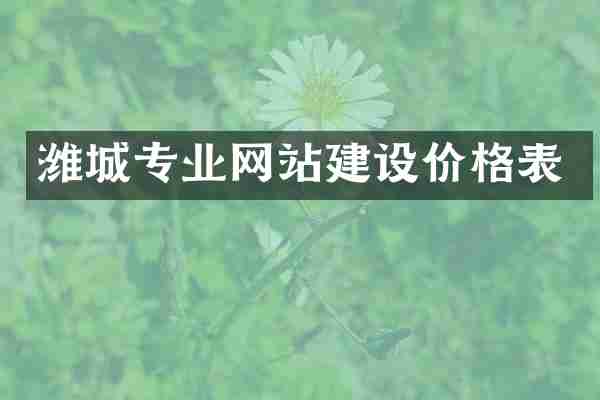 潍城专业网站建设价格表