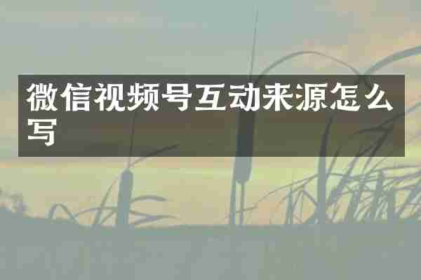 微信视频号互动来源怎么写