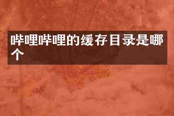 哔哩哔哩的缓存目录是哪个