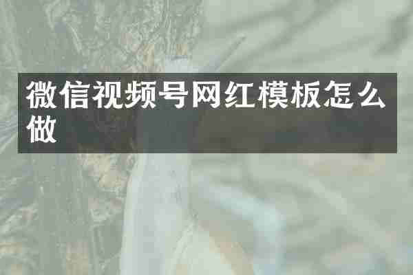 微信视频号网红模板怎么做