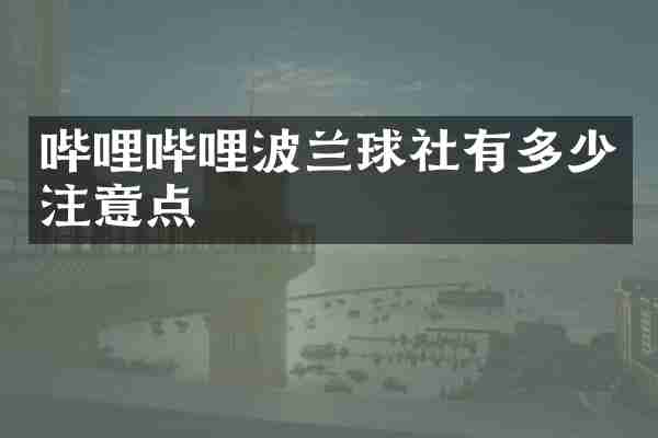 哔哩哔哩波兰球社有多少注意点