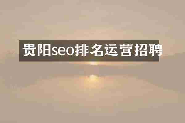 贵阳seo排名运营招聘