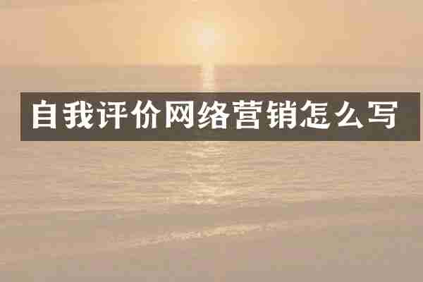 自我评价网络营销怎么写