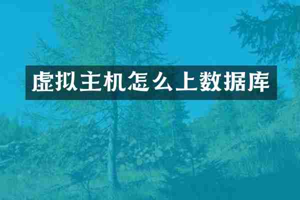 虚拟主机怎么上数据库