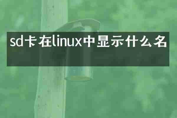 sd卡在linux中显示什么名字