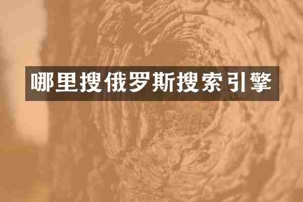 哪里搜俄罗斯搜索引擎