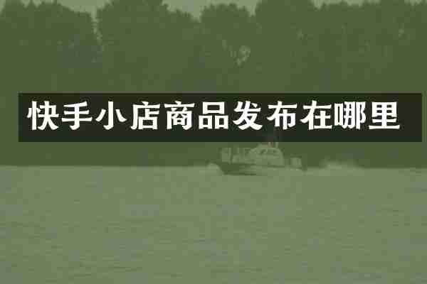 快手小店商品发布在哪里