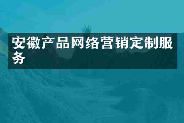 安徽产品网络营销定制服务