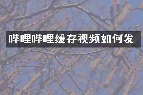 哔哩哔哩缓存视频如何发