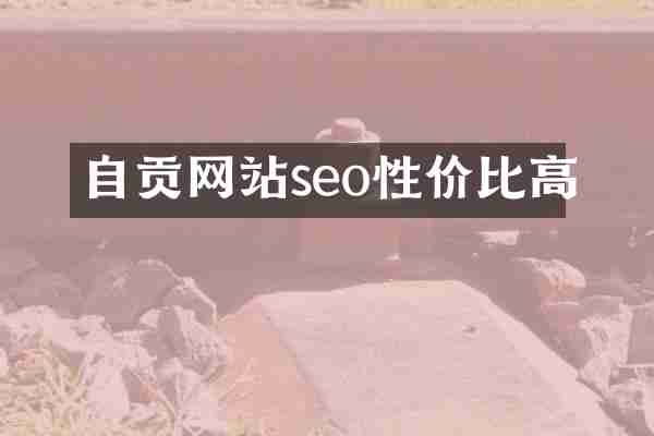 自贡网站seo性价比高