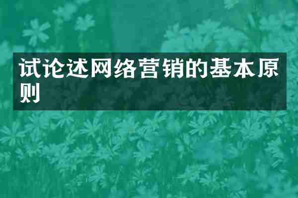 试论述网络营销的基本原则