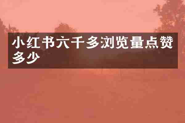 小红书六千多浏览量点赞多少
