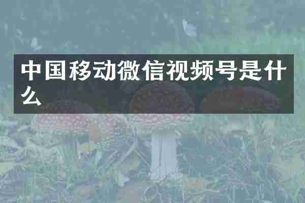 中国移动微信视频号是什么