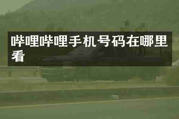 哔哩哔哩手机号码在哪里看