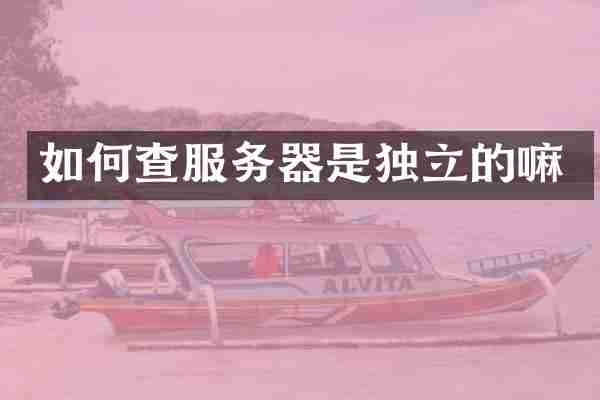 如何查服务器是独立的嘛